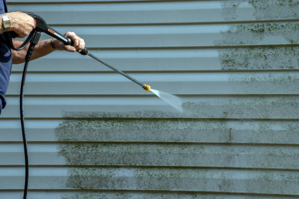 Best Driveway Pressure Washing  in Santa Fe, TX